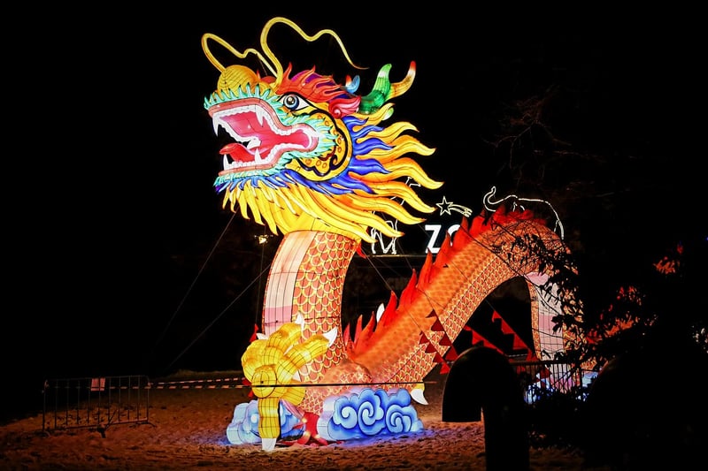 Dragon Fireworks Display